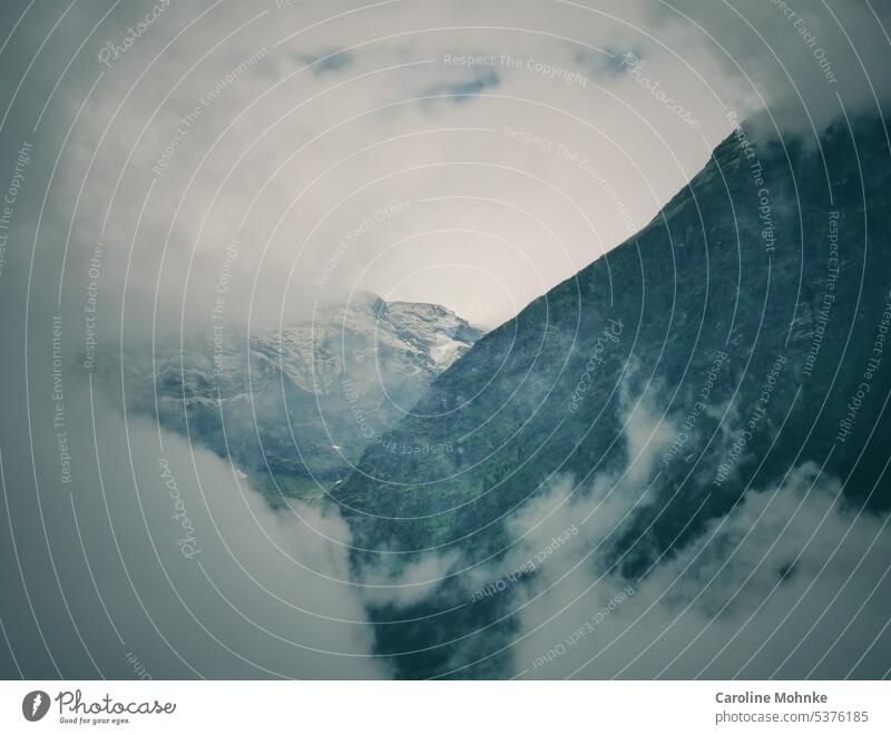 Berge mystisch umhüllt Nebel Stimmung alpin Alpinismus Berge u. Gebirge Landschaft Außenaufnahme Natur Gipfel Felsen Alpen Menschenleer Umwelt