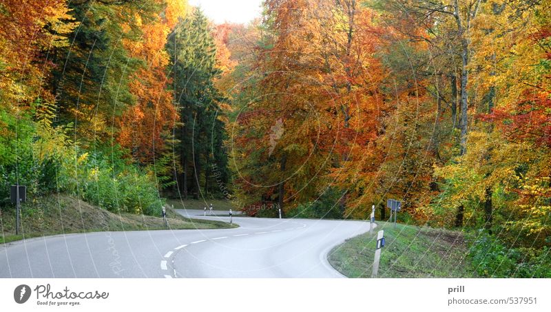 roadside autumn scenery Natur Landschaft Herbst Baum Sträucher Blatt Wald Straße braun gelb grün friedlich ländlich deutschland hohenlohe sonnig orange panorama