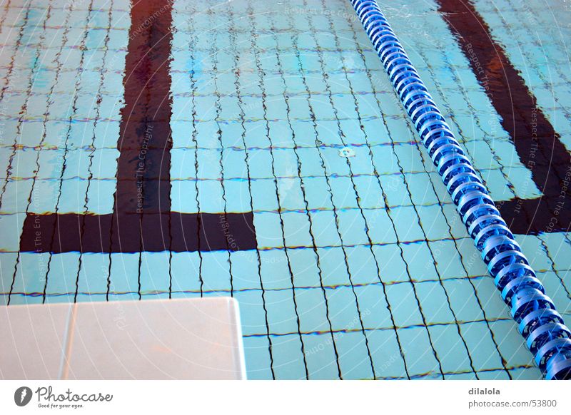 piscina Schwimmbad sports swimming the olympic games blue water to swim Sport die olympischen spiele blau Wasser Schwimmsport Schwimmen & Baden
