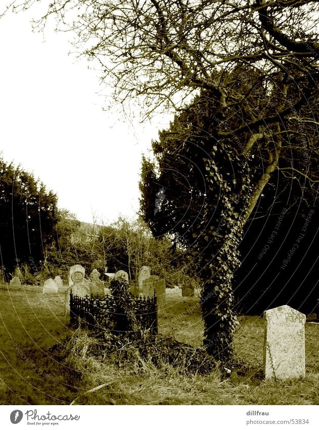 Graveyard Part Two Religion & Glaube Grab Grabstein Baum Sarg Trauer Friedhof untot Einsamkeit ruhig England Wiese Stillleben Götter Teufel trösten Damp feucht