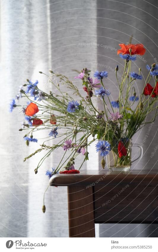Vase mit Kornblumen und Klatschmohn Stillleben Mohnblumen Tisch Gardine Blume Dekoration & Verzierung Blumenstrauß Innenaufnahme Blüte Blühend Menschenleer