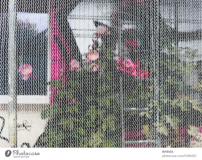 Stockrosen, Leiter und Graffiti-Fassade von Baugerüst mit Netz verdeckt Baustelle pink rosa rot Schutz Sanierung Modernisierung Gentrifizierung Sanieren Gerüst