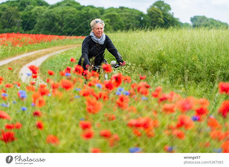 Feiern wir den Mohntag | Frau fährt lächelnd mit dem Rad an einem blühenden Mohnfeld entlang blühender Mohn blühendes Mohnfeld Sommer Mohnblüte Klatschmohn