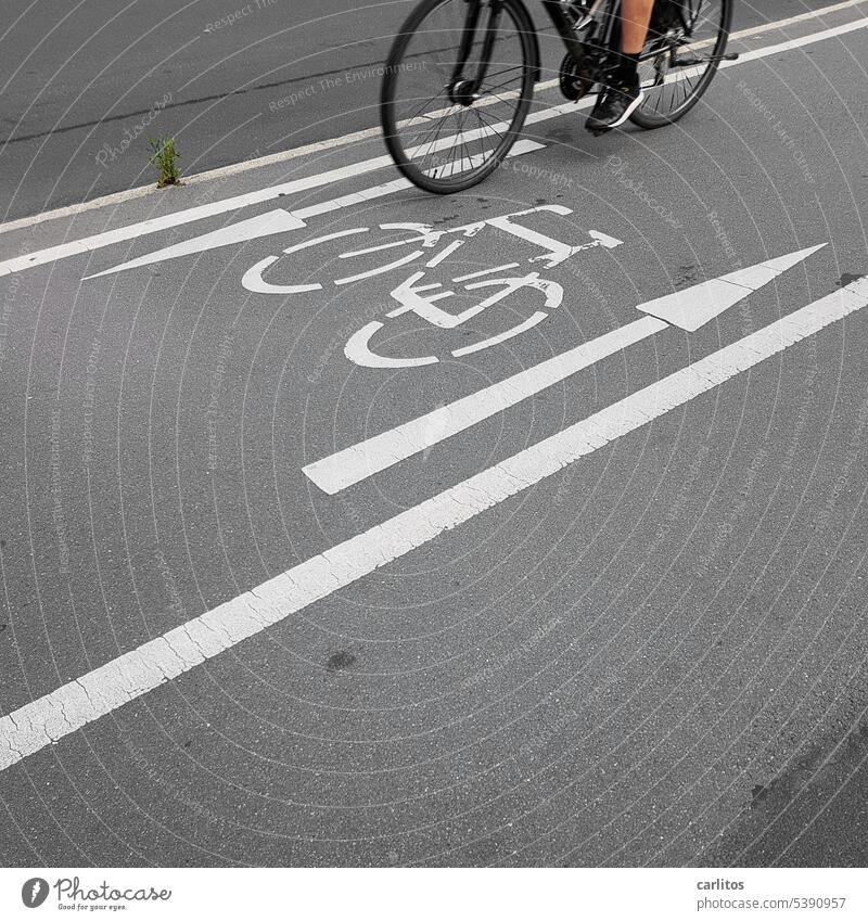 Abgefahren | kein Profil auf den Reifen Fahrrad Fahrradfahren Verkehrsmittel Straße Straßenverkehr Mobilität Wege & Pfade Verkehrswege Fahrradweg Fahrradtour