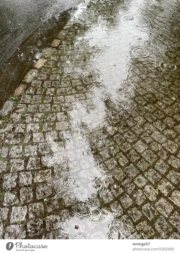 Regenpfütze auf dem Gehweg Pfütze Regenblasen Niederschlag Reflexion & Spiegelung Wasser nass Außenaufnahme Straße schlechtes Wetter Regenwetter Menschenleer