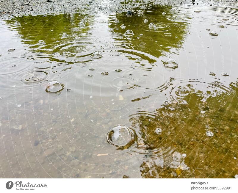 Regenpfütze auf der Straße Pfütze Regenblasen Niederschlag Reflexion & Spiegelung Wasser nass Außenaufnahme schlechtes Wetter Regenwetter Menschenleer feucht