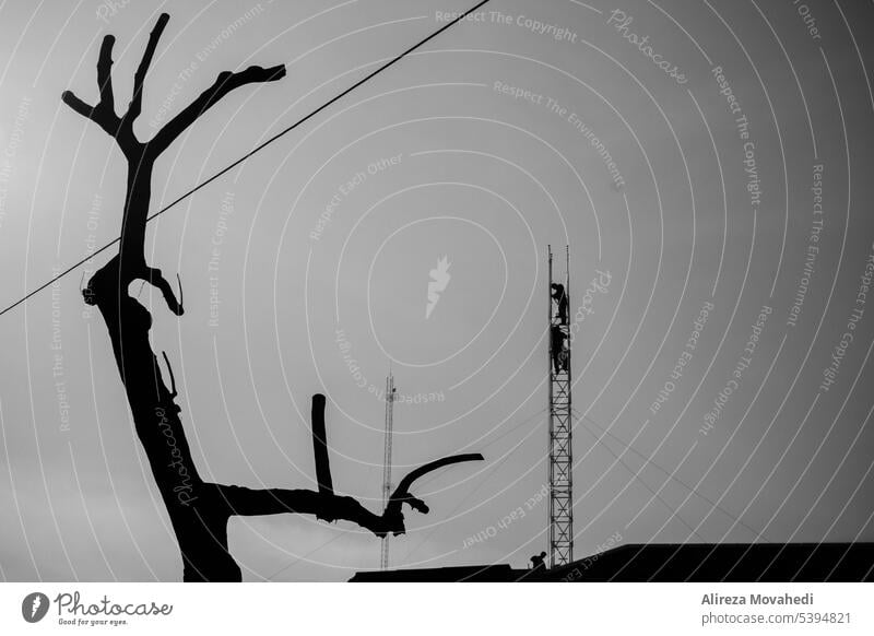 Betrachter Straße dunkel Schwarzweißfoto Fotografie bw Straßenfotografie Bildende Kunst konzeptionell