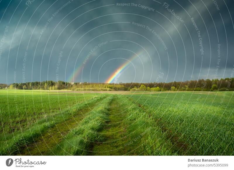Doppelter Regenbogen am Himmel über grünen Feldern mit einer unbefestigten Straße, Czulczyce, Polen Cloud Gras Natur Landschaft Wiese im Freien Sommer Wetter