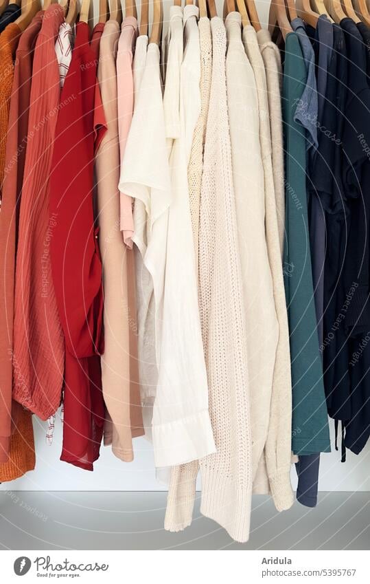 Kleidung hängt ordentlich nach Farben sortiert auf Holzbügeln im Kleiderschrank Bekleidung Mode Kleiderbügel hängen Oberteile Stoff Textil Sammlung Ansammlung
