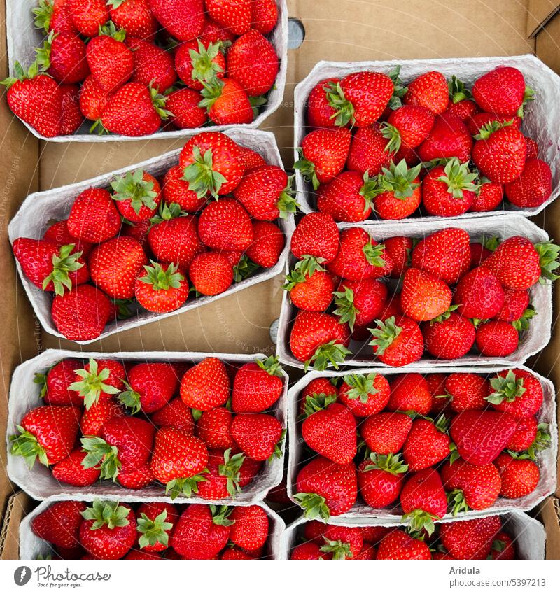Dauerbrenner | Erdbeeren kaufen Obst Erdbeerschalen Verkauf Supermarkt Markt Lebensmittel frisch Ernährung lecker Frucht Gesunde Ernährung Bioprodukte Vitamin