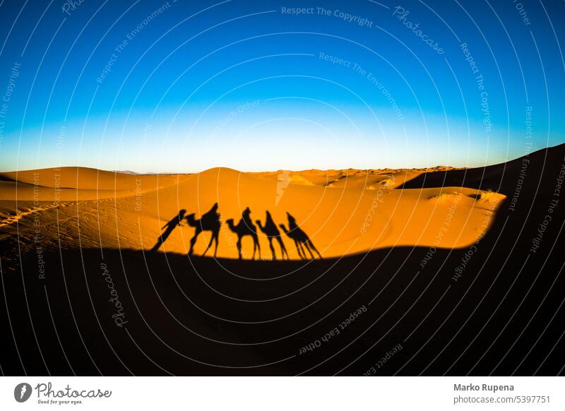Weitwinkelaufnahme von Menschen reiten Kamele in Karawane über die Sanddünen in der Wüste Sahara mit Kamel Schatten auf einem Sand wüst Reise Dunes Safari
