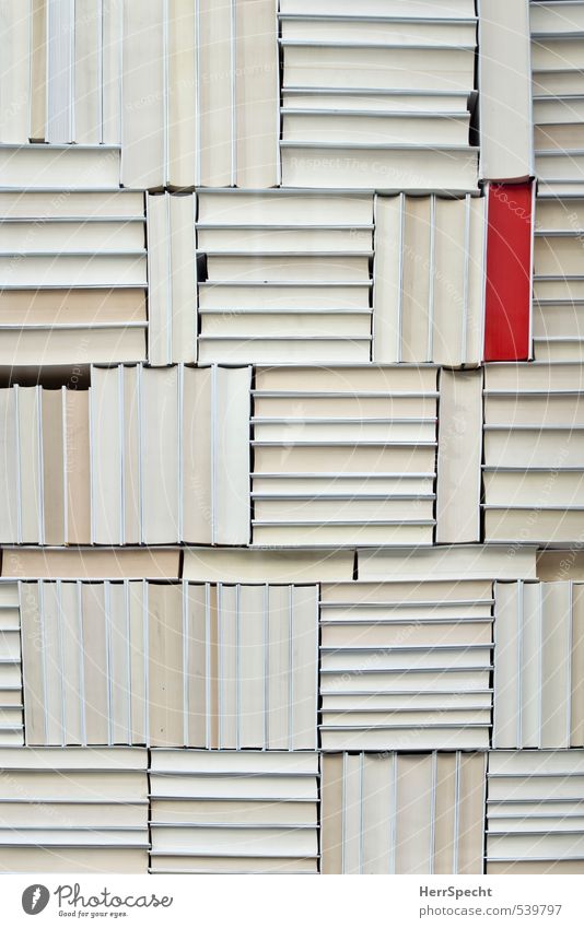 Unterscheidungsmerkmal Sammlung ästhetisch rot weiß Bücherregal Buch Stapel Papier Ordnungsliebe markant herausstechend einzigartig Gruppenzwang außergewöhnlich