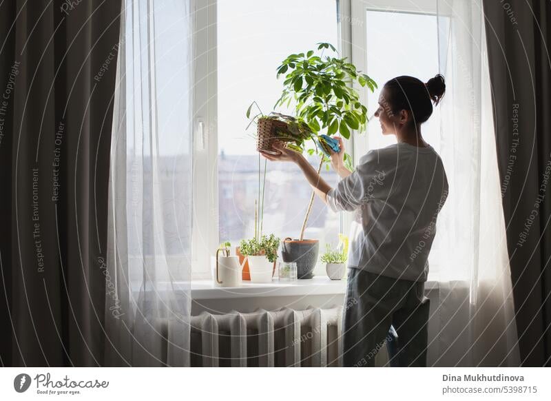Junge Frau, die sich um grüne Zimmerpflanzen zu Hause im Garten kümmert. Millennial Person hält Topfpflanze. Gartenarbeit städtischen Dschungel Hobby. abstrakt