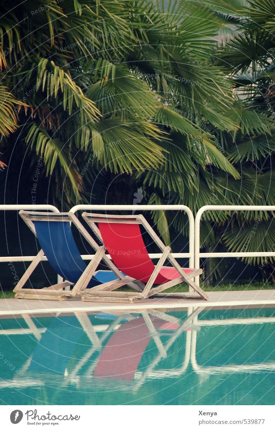 Noch zwei Plätze frei Ferien & Urlaub & Reisen Sommer Sommerurlaub Sonne Sonnenbad Schwimmen & Baden Schwimmbad Palme Liegestuhl Wasser Erholung blau grün rot