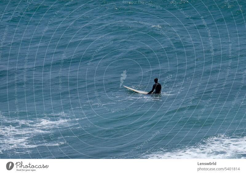Surfer auf seinem Brett, der auf die perfekte Welle wartet Strand blau Küste Ericeira Natur Meer im Freien Portugal MEER Sport Brandung Surfbrett Surfen