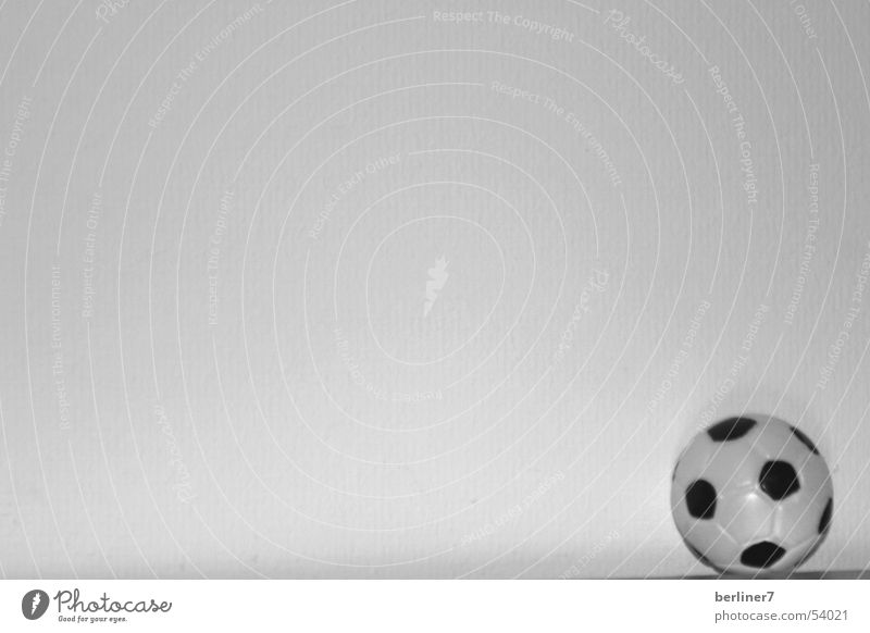 er will nur spielen... Leder schwarz weiß Ball Kontrast Hintergrund neutral Vor hellem Hintergrund 1 Fußball Textfreiraum oben Textfreiraum links