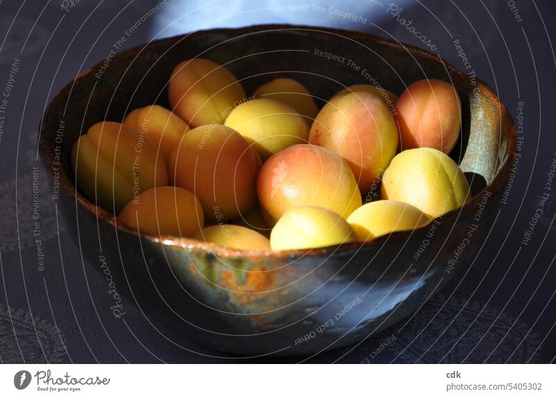 türkische Zuckeraprikosen leuchten im Sonnenlicht aus einer Tonschale auf dem Tisch. Aprikose Aprikosen Frucht lecker frisch Lebensmittel Farbfoto Sommer