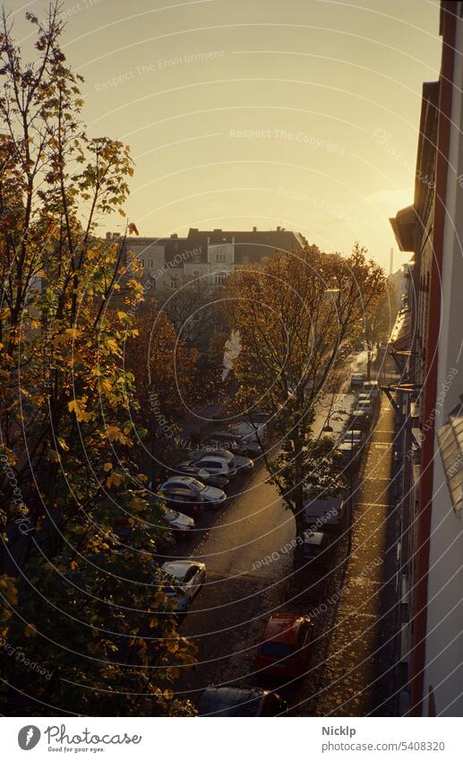 Goldener Herbst - Straße bei Sonnenaufgang im Morgennebel beleuchtet Stimmung Gegenlicht Sonnenlicht golden leuchten lumineszierend Blätter Allee braun