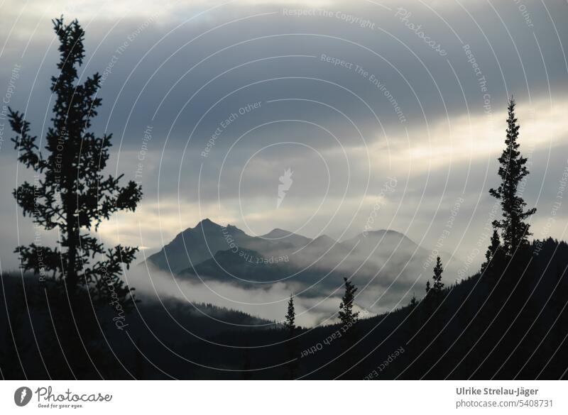 Alaska | dunkler Wald und Berge in den Wolken |Denali Nationalpark Berge u. Gebirge Landschaft Himmel Bäume Berg und Tal Nebel nebelverhangen mystisch