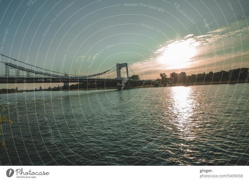 Am Rhein- Blick auf die Mülheimer Brücke Sträucher Kontrast Wasseroberfläche Schönes Wetter Reflexion & Spiegelung Sonnenlicht Sommer Himmel Wolken blau nass