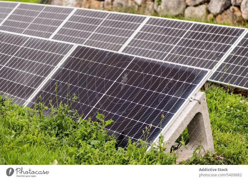 Sonnenkollektoren auf grünem Gras im Sonnenlicht solar nachhaltig Energie Feld Panel Sauberkeit Baum Kraft Reflexion & Spiegelung Sommer Landschaft Natur Umwelt