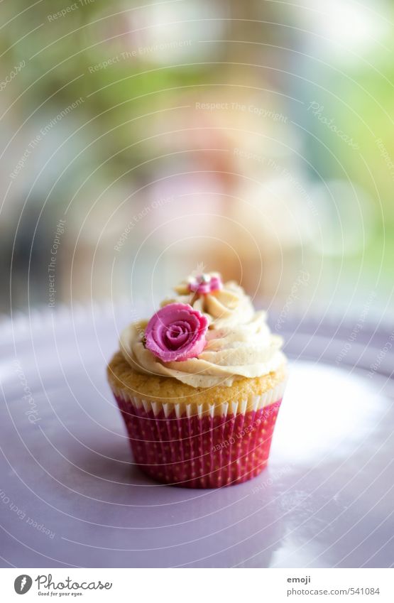 sweet Kuchen Dessert Süßwaren Ernährung Picknick Slowfood Fingerfood lecker süß rosa Cupcake Farbfoto Außenaufnahme Menschenleer Textfreiraum oben Tag