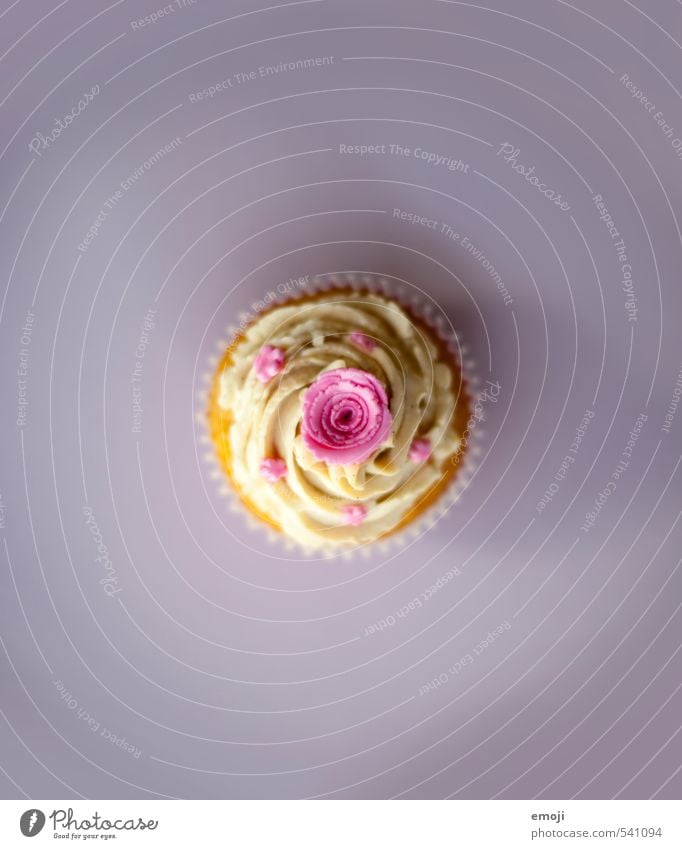 @ Kuchen Dessert Süßwaren Cupcake Ernährung Slowfood Fingerfood lecker süß rosa Kalorienreich Farbfoto Innenaufnahme Studioaufnahme Nahaufnahme Menschenleer