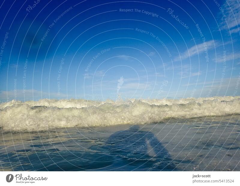 die nächste Welle ist für dich Wellen Pazifik Natur Hintergrundbild Blauer Himmel Wellenschlag Australien Wasseroberfläche Silhouette blau Schattenspiel
