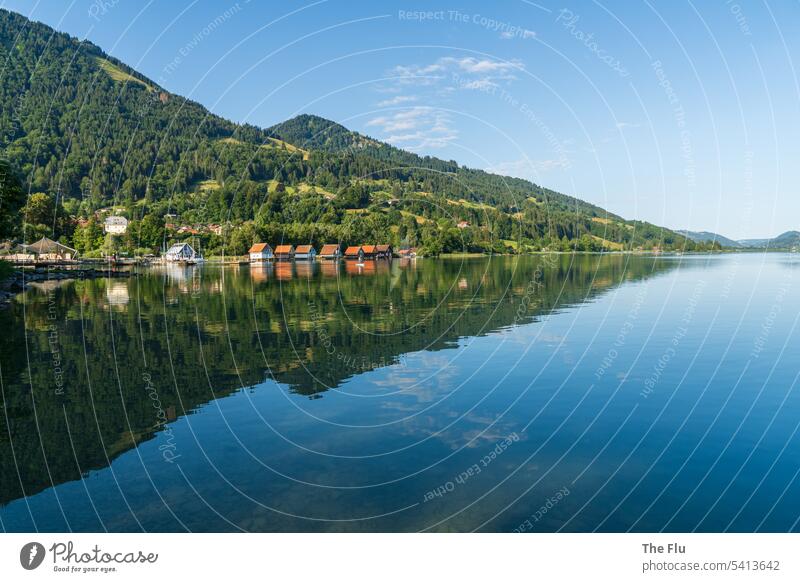 Sommeridyll am Alpsee im Allgäu Alpen See Spiegelung Himmel blau wolkenlos Landschaft Berge u. Gebirge Reflexion & Spiegelung Menschenleer Natur Wasser