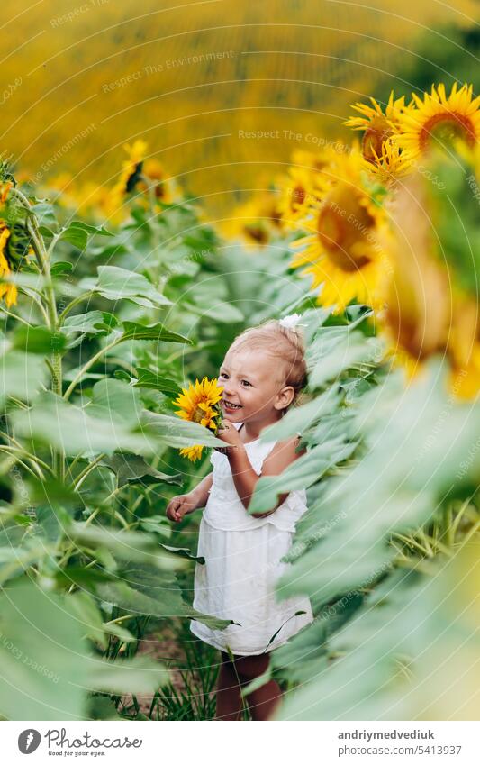 cute baby girl in Feld mit Sonnenblumen. kleines Mädchen hält Sonnenblume in der Hand. Das Konzept der Sommerferien. Baby's Tag. selektiven Fokus gelb Freude