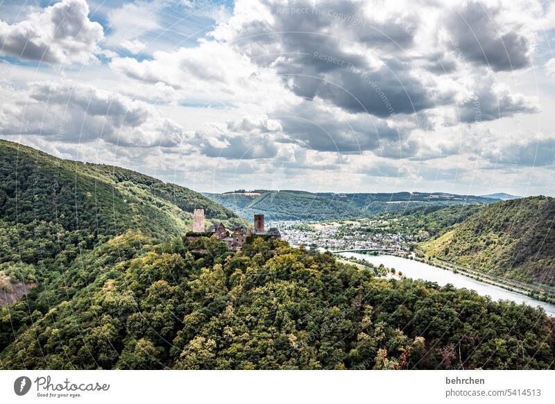 moselzeit Sommer Natur Himmel Landschaft Wolken Berge u. Gebirge Weinberg Weinstock Mosel Wege & Pfade Weinbau Hunsrück Mosel (Weinbaugebiet) Rheinland-Pfalz