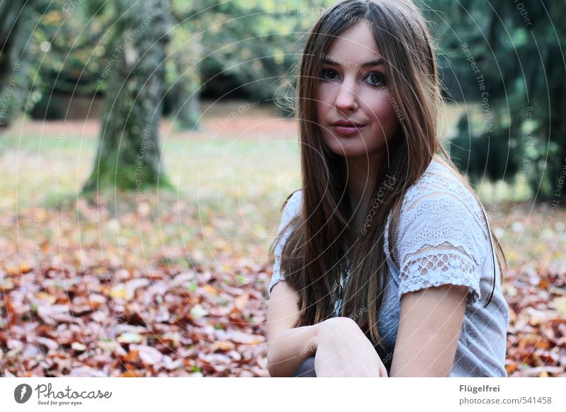 leise feminin Junge Frau Jugendliche 1 Mensch 18-30 Jahre Erwachsene sitzen Wald Baum Blick verträumt Einsamkeit Herbstlaub kalt T-Shirt langhaarig Farbfoto