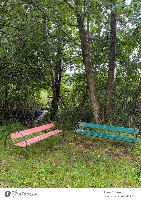 rote und grüne Parkbank DDR Menschenleer Holz ruhig Farbfoto Natur Pause sitzen Einsamkeit Erholung Holzbank Bank Sitzgelegenheit Außenaufnahme Pflanze Gras