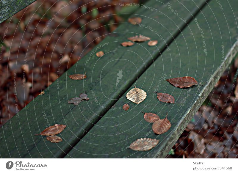 Braune Herbstblätter auf einer dunkelgrünen Holzbank im November Novemberbild Herbstmelancholie Novembermelancholie melancholisch nostalgisch Melancholie