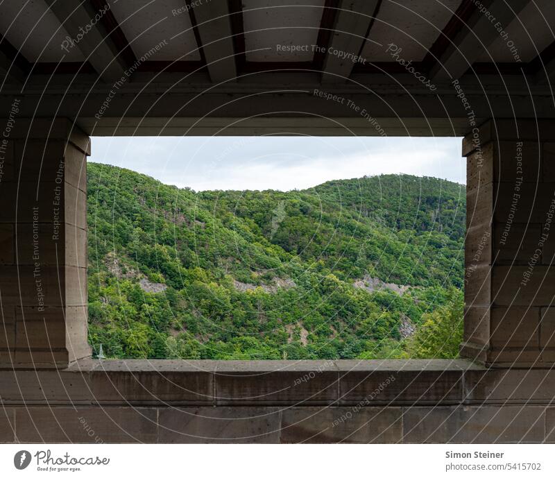 Blick auf einen bewaldeten Hügel Wald Natur Landschaft Außenaufnahme Umwelt Baum Berge u. Gebirge Menschenleer Sommer