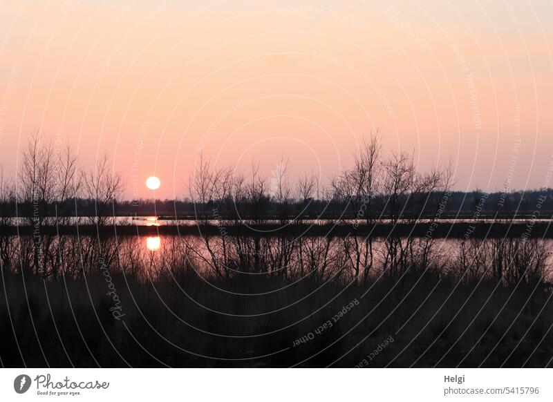 Sonnenuntergang im Moor Sonnenlicht Moorsee Strauch Spiegelung Abend abends Abendsonne Licht Schatten Himmel Natur Außenaufnahme Menschenleer Landschaft