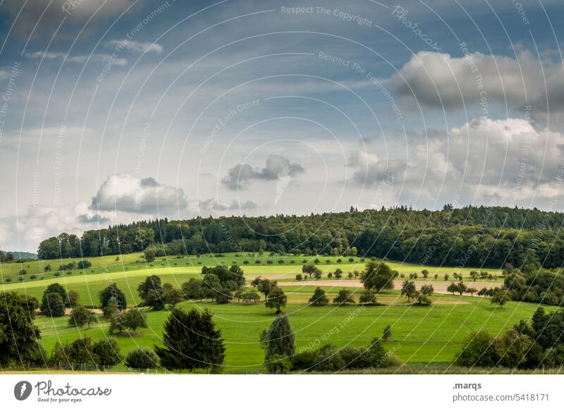 Saftige Wiese Natur Sommer frisch Gesundheit Hügel Wald Baum Schönes Wetter saftig Himmel Wolken Landschaft grün Feld