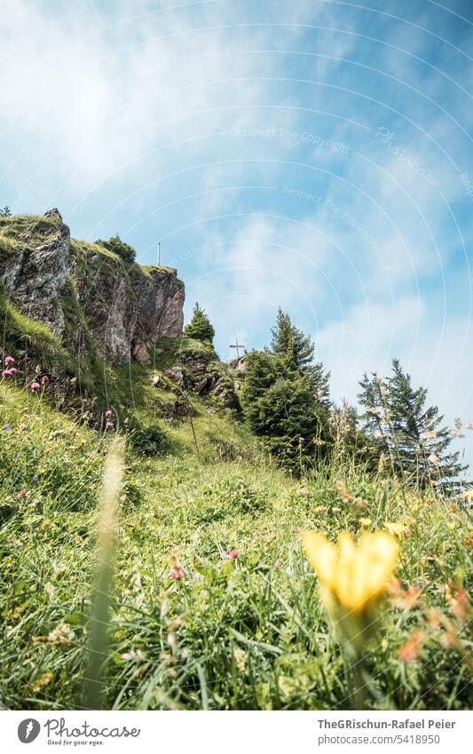 Aussicht nach oben zum Gipfelkreuz - grosser Mythen Farbfoto grosser mythen Berge u. Gebirge wandern Schweiz Tourismus Alpen Landschaft Außenaufnahme grün