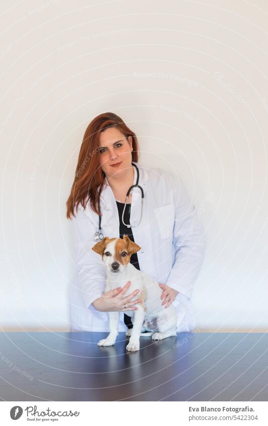 Porträt einer jungen Tierärztin, die einen süßen kleinen Hund mit einem Stethoskop untersucht, isoliert auf weißem Hintergrund. Innenbereich krank Spezialist