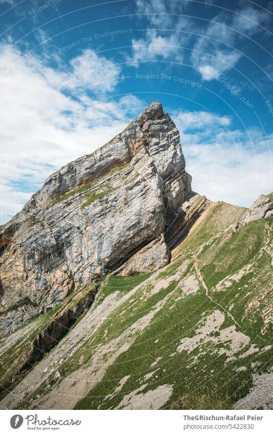 Berge mit Pfad an steilem Hang Aussicht Panorama (Aussicht) Berge u. Gebirge Himmel Wolken Alpstein wanderland Appenzellerland Gras Steine Felsen laufen wandern