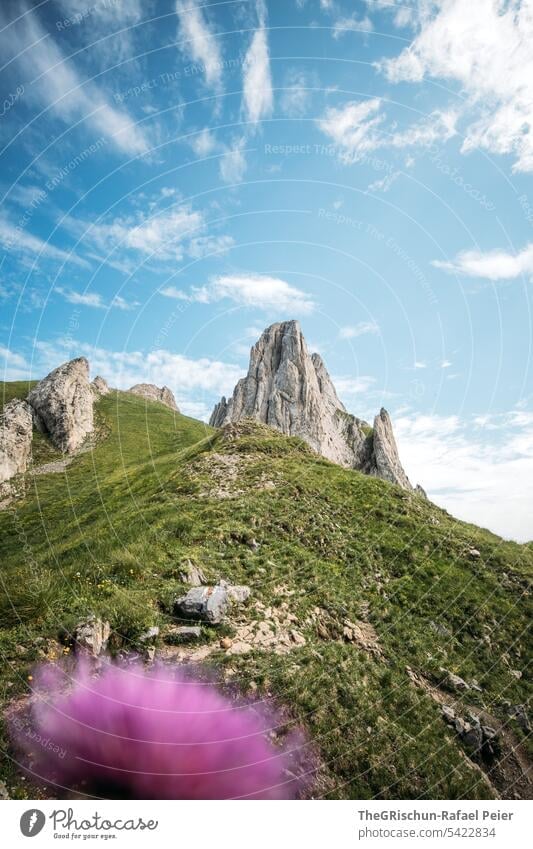 Berg mit Blume im Vordergrund Aussicht Panorama (Aussicht) Berge u. Gebirge Himmel Wolken Alpstein wanderland Appenzellerland Gras Steine Felsen laufen wandern
