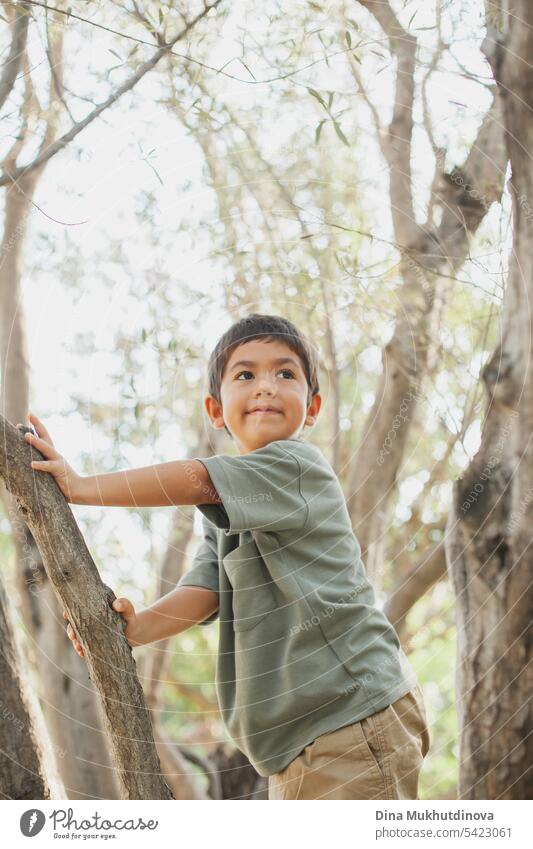 neugieriges, vielfältiges Kind, das im Park auf den Olivenbaum klettert, lächelt und zur Seite schaut. Fünf oder sechs Jahre alter Junge im Park im Sommer, der die Welt erkundet.