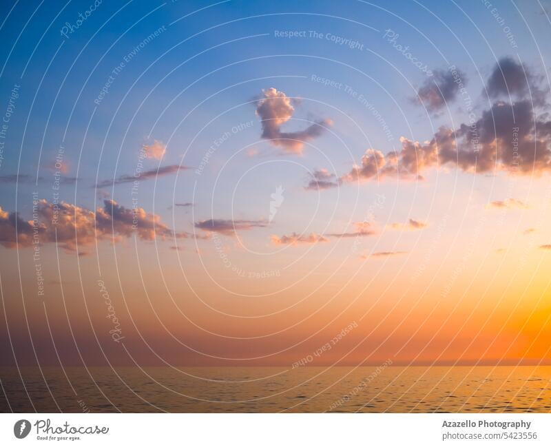 Schöner Abendhimmel über dem Meer während des Sonnenuntergangs Atmosphäre Hintergrund Balken schön Schönheit schwarzer Himmel blau Holzplatte Klima Cloud Wolken