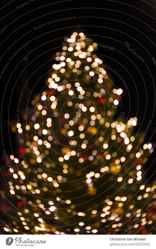 Oh Tannenbaum | mit Glanz und Glitzer Weihnachtsbaum Weihnachtsdekoration Weihnachtsbeleuchtung Weihnachten leuchten Tradition Vorfreude glänzen Lichter