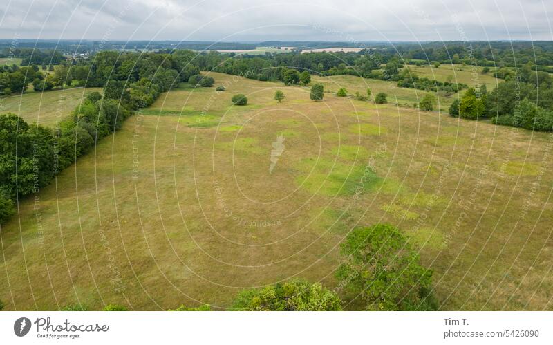 Pommern pommern Wiese Drohnenansicht Sommer Polen Natur Landschaft Außenaufnahme Himmel Tag Farbfoto Menschenleer grün Baum Gras Horizont Umwelt Wolken schön