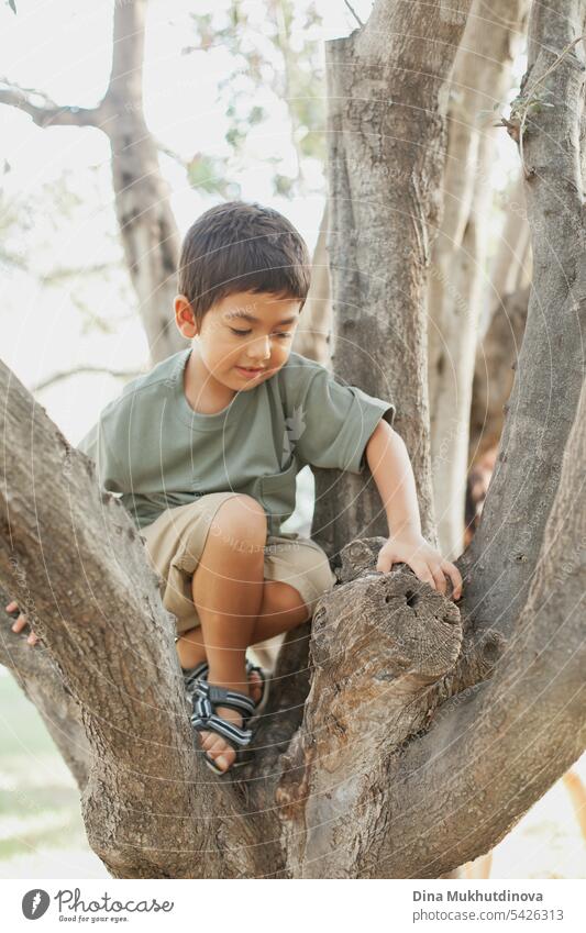 neugieriges, vielfältiges Kind, das im Park auf den Olivenbaum klettert, lächelt und zur Seite schaut. Fünf oder sechs Jahre alter Junge im Park im Sommer, der die Welt erkundet.