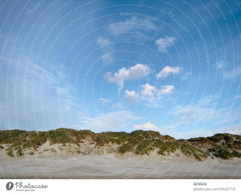 Wolken bilden einen Kreis über einer Nordseedüne Düne Dünengras Gras Sand Strand Hügel Landschaft Ferien & Urlaub & Reisen Natur Himmel Küste Nordseeküste
