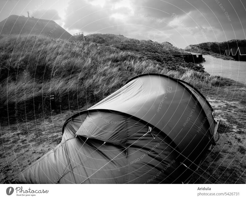 Zelt im Sonnenaufgang in den Dünen an der Nordsee s/w Gräser campen Camping Natur Ferien & Urlaub & Reisen Freiheit Sommer Erholung Ausflug Tourismus