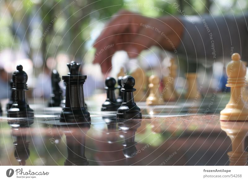 schach Makroaufnahme schwarz weiß Hand Unschärfe Schachbrett Platz Sonne Schatten Santa Cruz Schachfigur