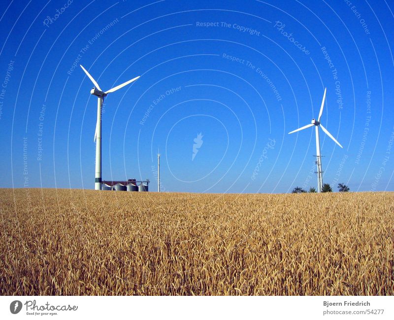 Windkraftanlagen Landwirtschaft Silo Telefonmast Ähren Sommer weiß gelb Energiewirtschaft Natur Kraft Amerika Gastronomie Korn Getreide Himmel Schönes Wetter